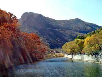 新澳天天开奖资料大全旅游团，太平间里的镜子